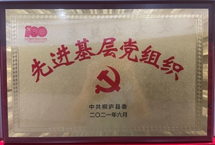 �Ƚ����㵳��֯