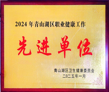 2024����ϲ�����ɽ����ְҵ��ȫ�����Ƚ���Ԫ