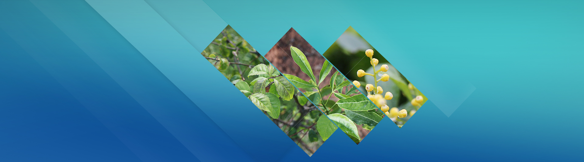 ee954d63-0422-4971-b1f5-26dec9a3add7