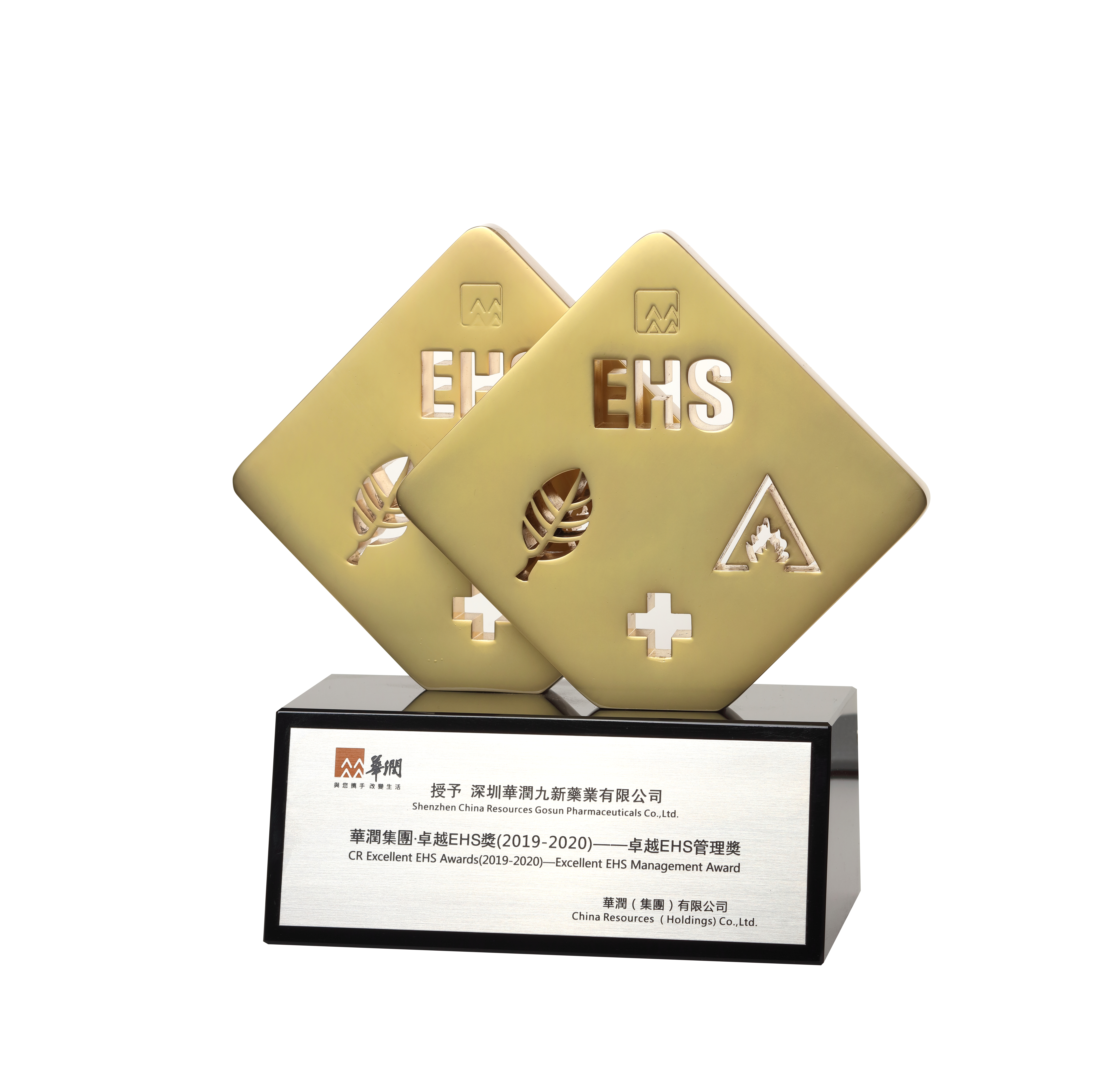 ������׿ԽEHS������