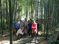 �Ƿ�����(�й���)-�ٷ���վ