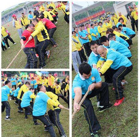 2015010903377938 非凡国际(中国区)-官方网站