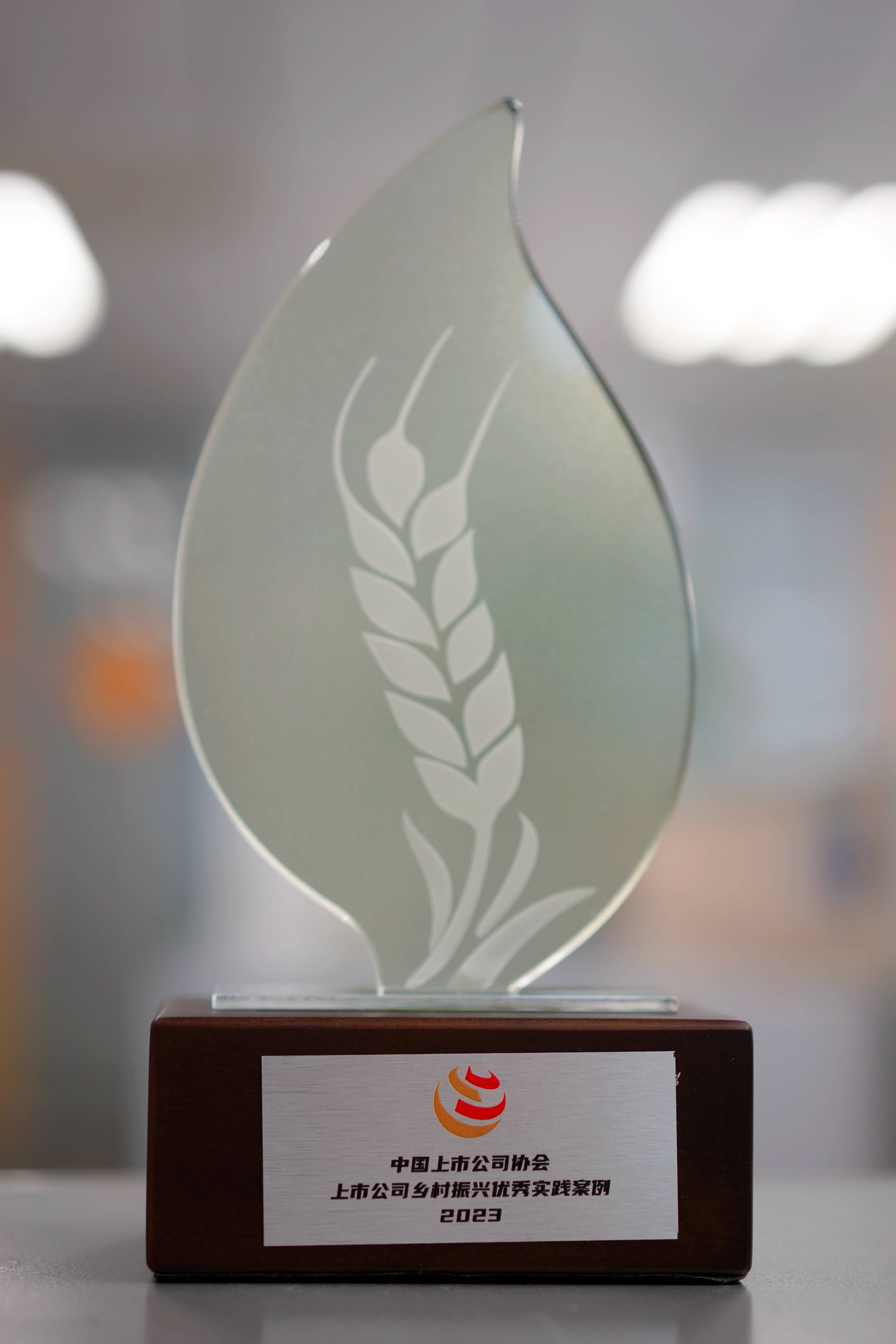 3a62a98a-b289-4f0c-836f-592514c96601