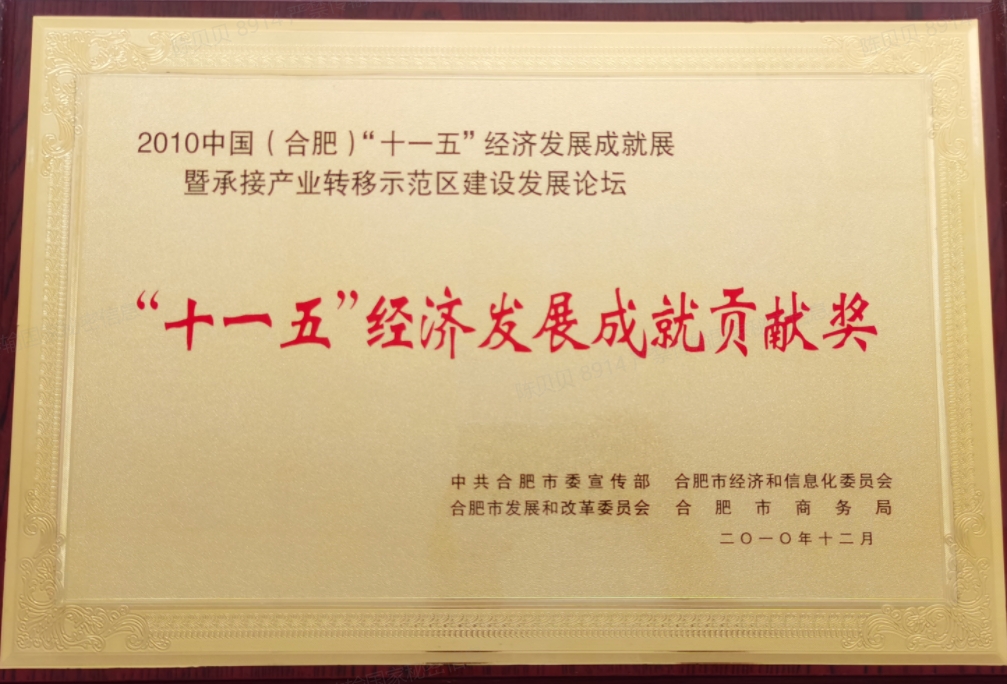 ��ʮһ�塱���÷�չ�ɾ͹��׽���2010��