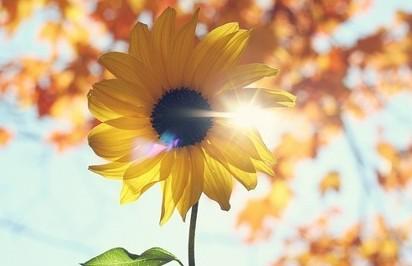 �Ƿ�����(�й���)-�ٷ���վ