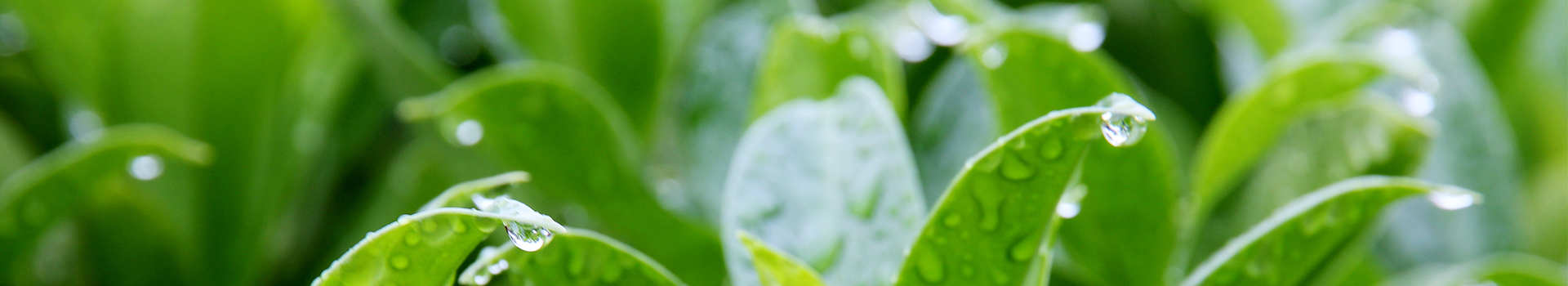 113afd2a-9ac6-421e-88e3-55d760287d2f